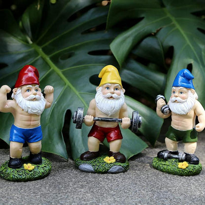 Muscle Gnome, Garden Gnome